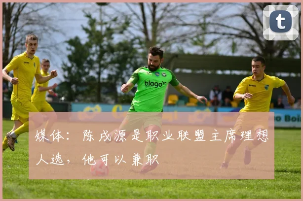 媒体：陈戌源是职业联盟主席理想人选，他可以兼职