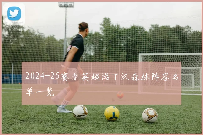 2024-25赛季英超诺丁汉森林阵容名单一览