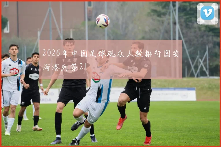 2026年中国足球观众人数排行国安海港列第21